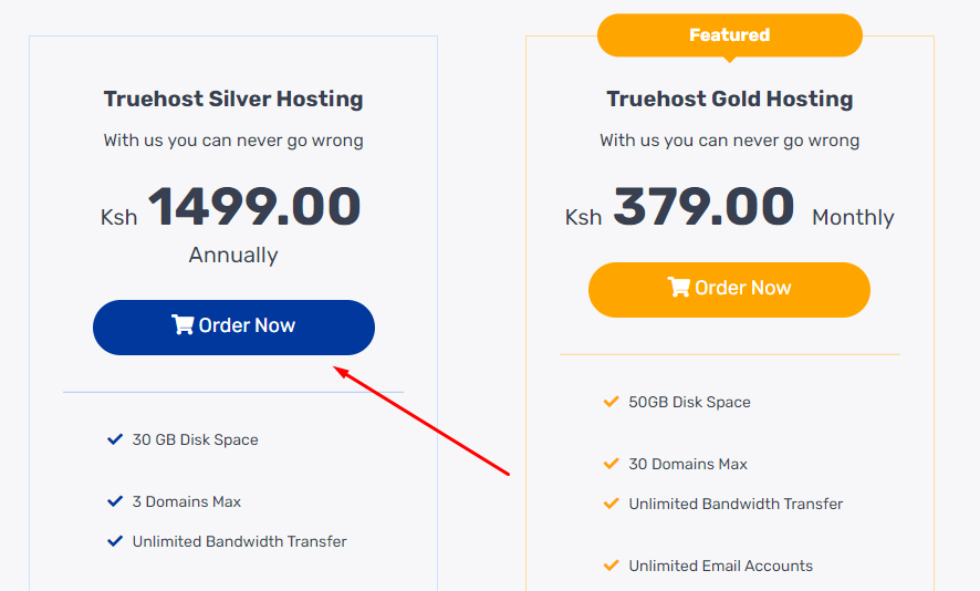 business web hosting in Kenya