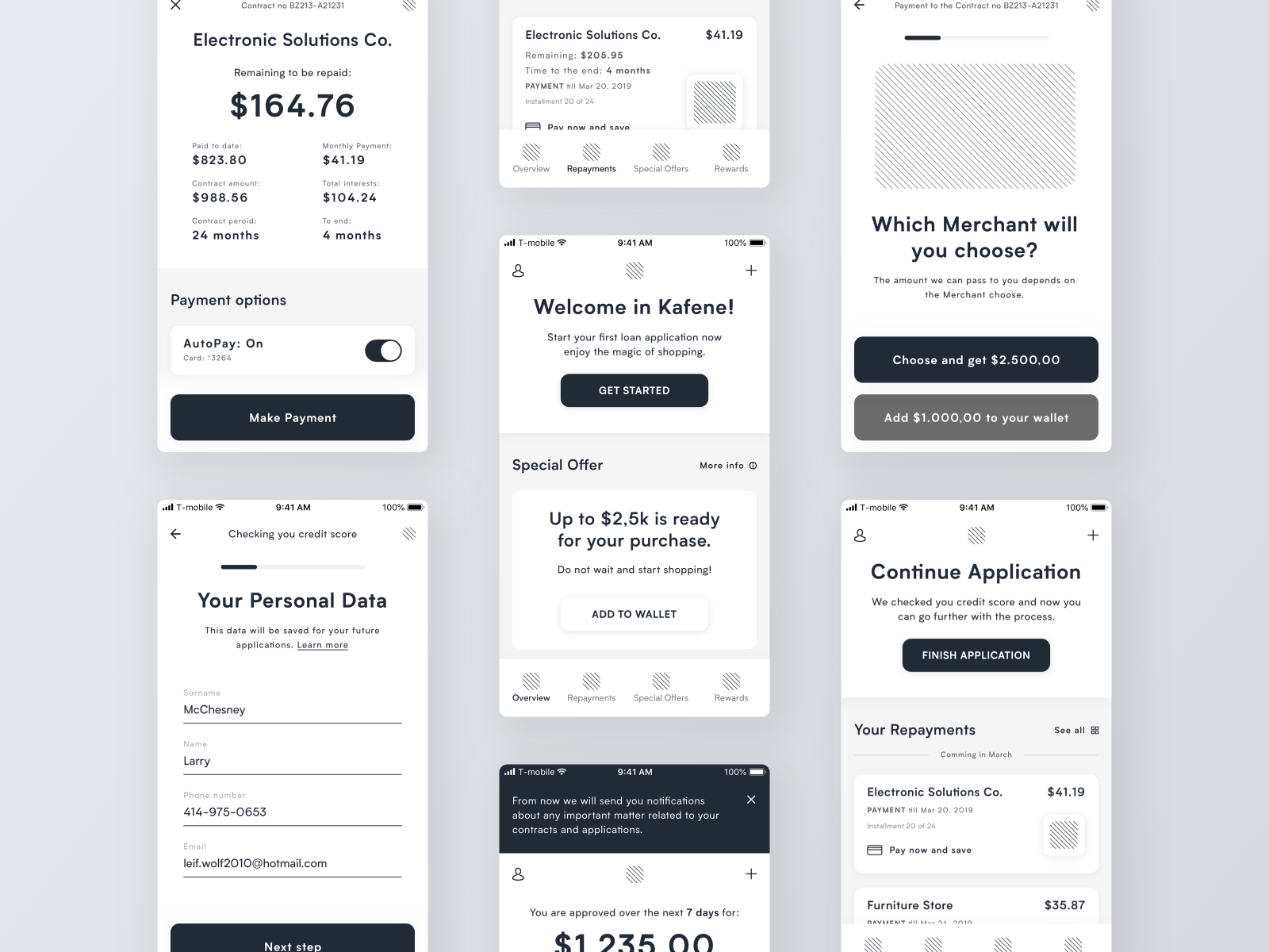 A medium fidelity wireframe example of screens in Ryszard Cz's financial loan app.