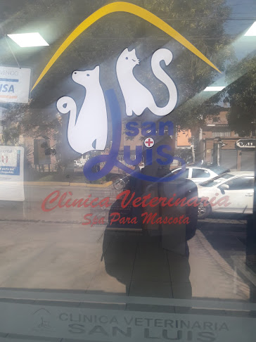 Opiniones de Clínica Veterinaria San Luis Yanahuara en Yanahuara - Veterinario