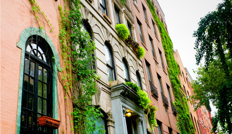 Green ivy climbs up the exterior walls of residential buildings located in the East Village in downtown Manhattan, New York.