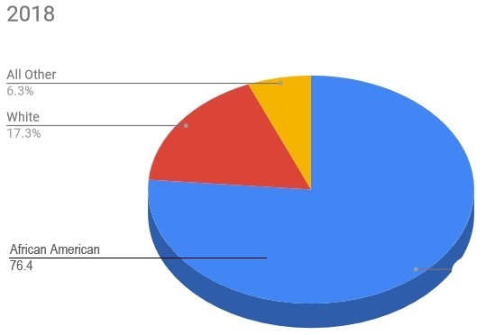 Pie chart showing most consumers are minorities