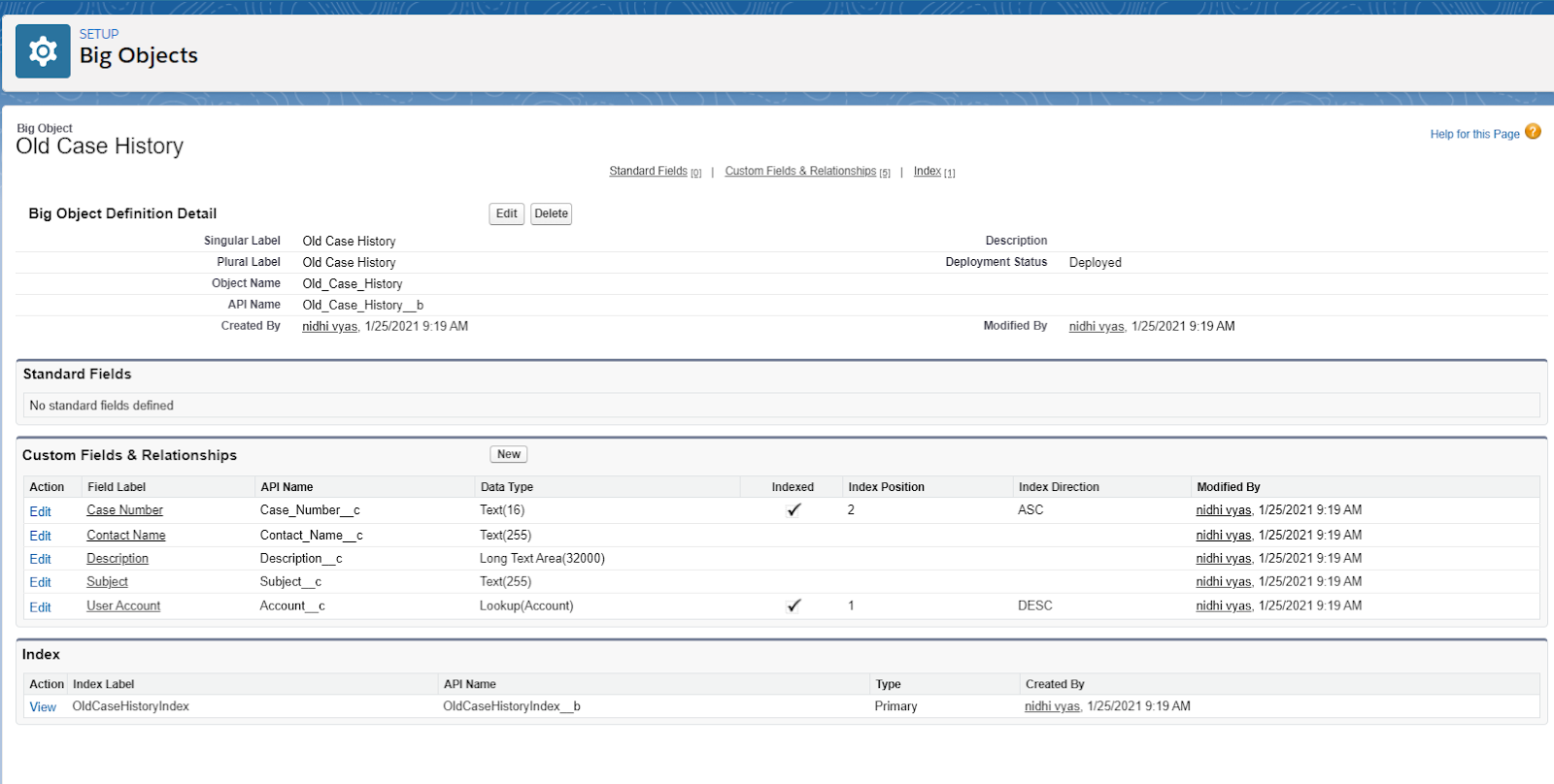 What are Salesforce Big Objects?