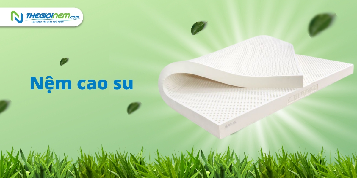 Mua nệm cao su trả góp tại Long An | Thegioinem.com