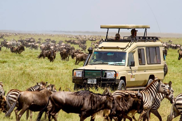 Tanzania's Serengeti park becomes Africas Leading National park by World Travel Awards