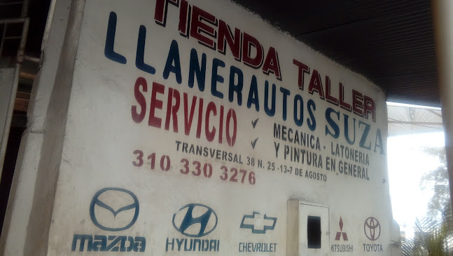 Transversal 38#25-13, 7 de Agosto, Villavicencio, Meta