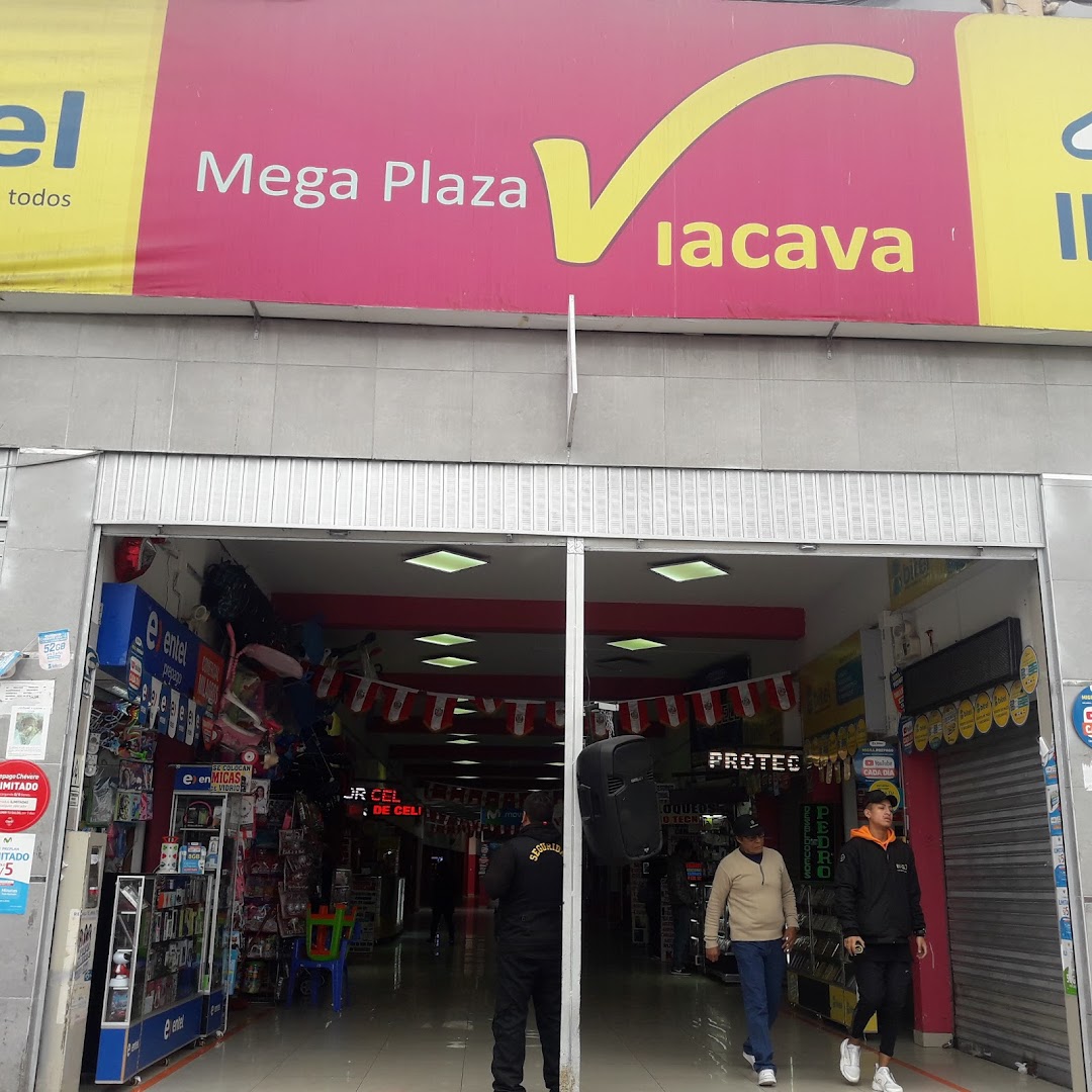 Mega Plaza Viacava