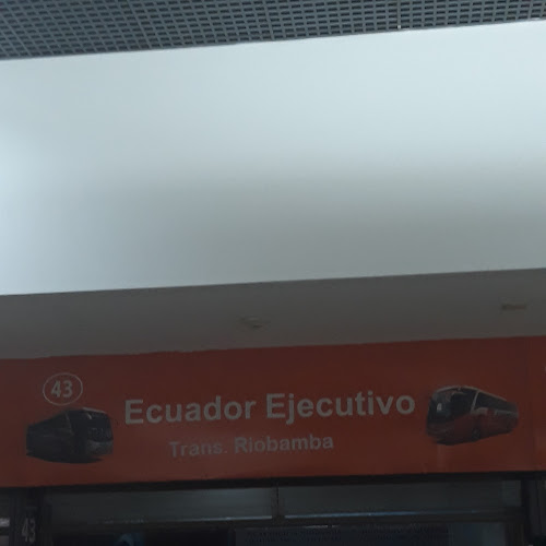 Opiniones de Ecuador Ejecutivo en Guayaquil - Servicio de transporte