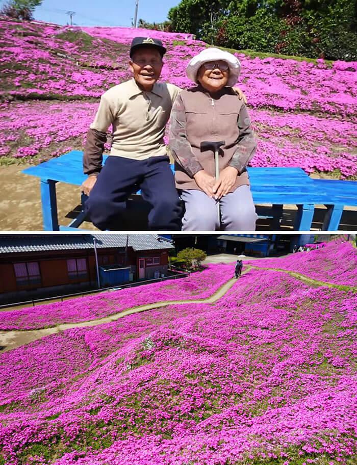 He Spent 2 Years Planting Flowers To Help His Blind Wife Get Out Of Her Depression