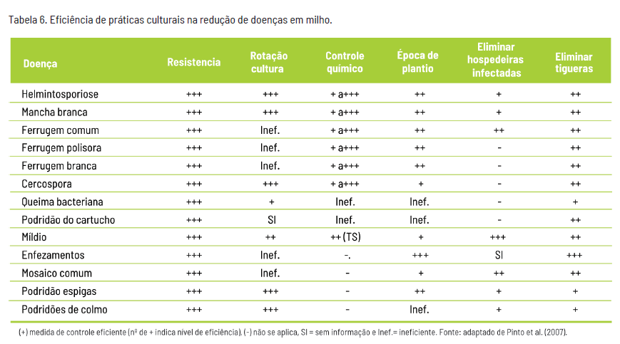Eficiência de práticas culturais na redução de doenças em milho.