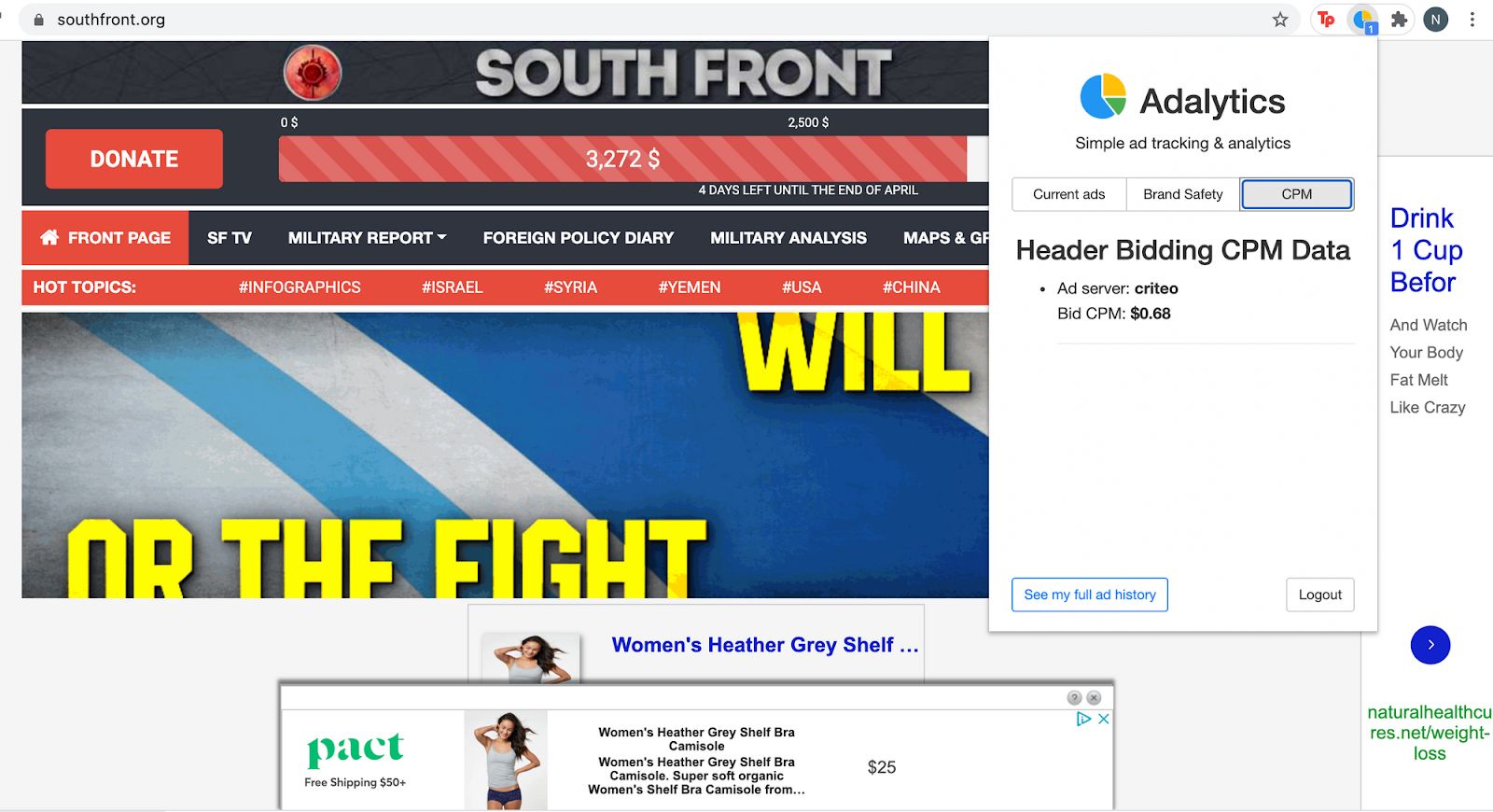 Screenshot showing ads on South Front
