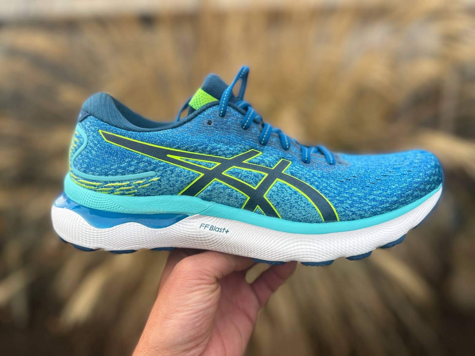 Road Trail Run: GEL-Nimbus 24 Multi Review: Flytefoam Blast + Powered Plush, Stable Daily Cruiser. 11 Comparisons