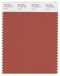 Image result for pantone colour swatch individual