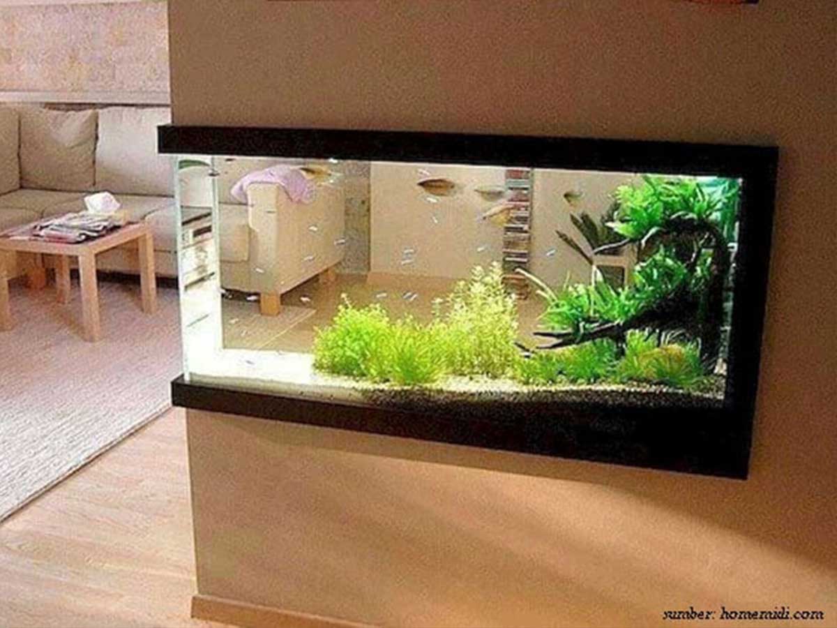 aquarium-dinding