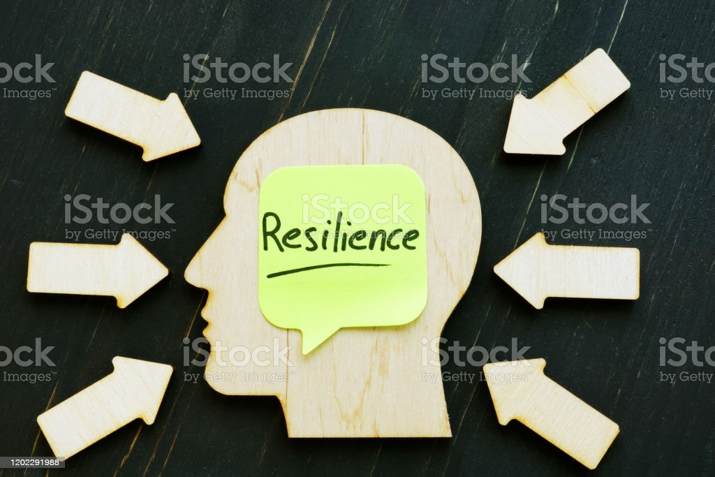 Maksud resilien