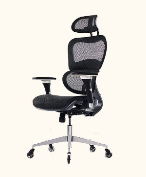 Oline Ergopro Ergonomic Office Chair