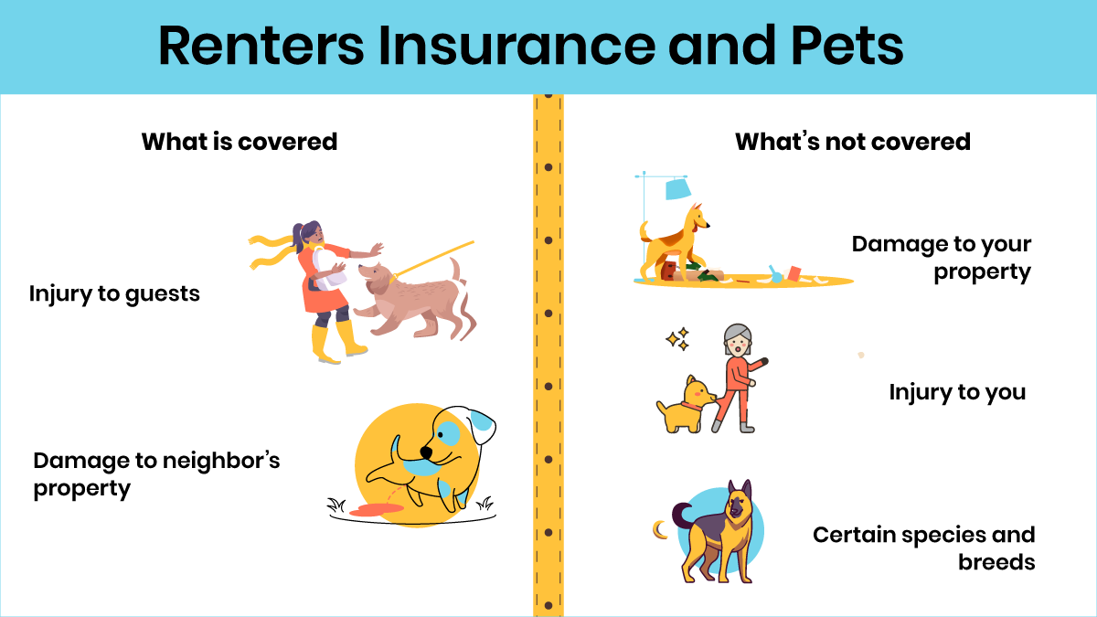 Pets and renters insurance — Infographic summarizing what is and isn’t covered.