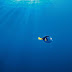Finding Dory Wallpaper for iPhone and Android 