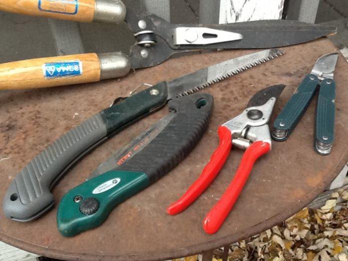Инструменты для обрезки деревьев и кустарников