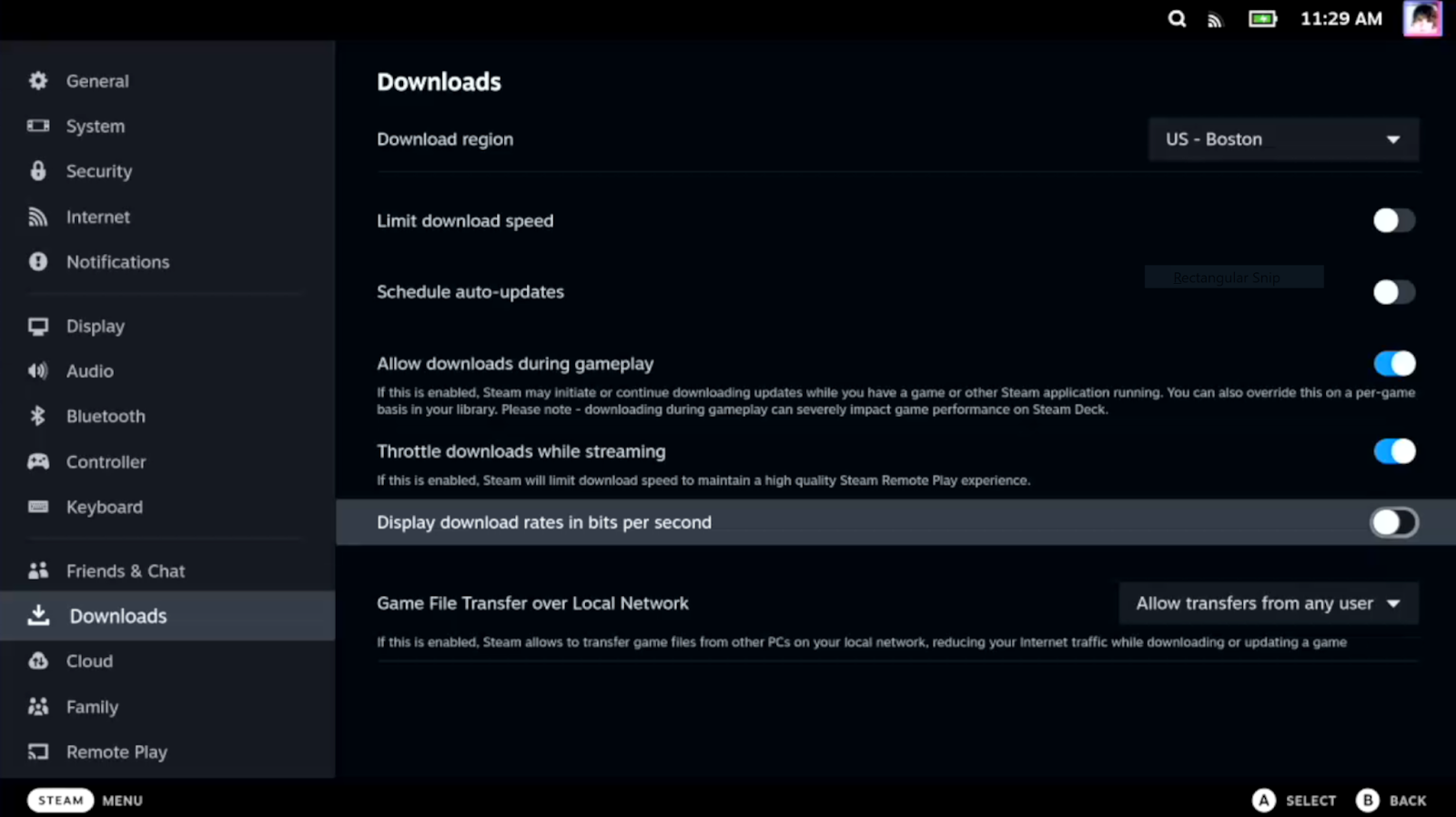 If this is enabled, Steam allows to transfer game files from other PCs on your local network, reducing your Internet traffic while downloading or updating a game