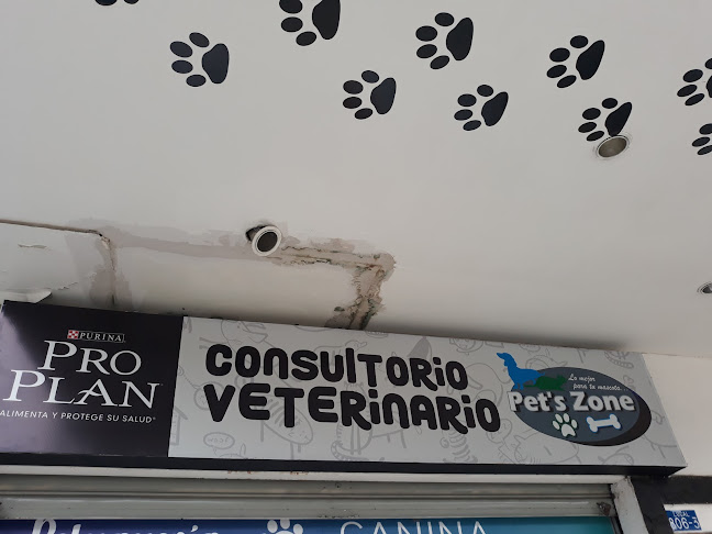 Pet's Zone - Veterinario