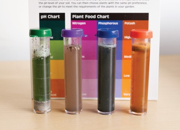 Conduct a DIY soil test