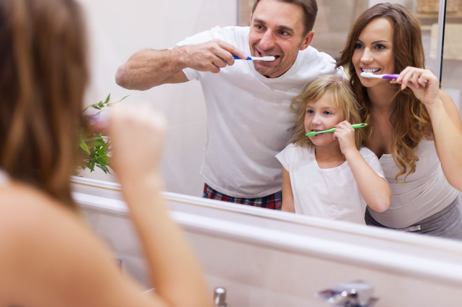 Family Brushing after each meal