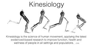 Image result for kinesiologists