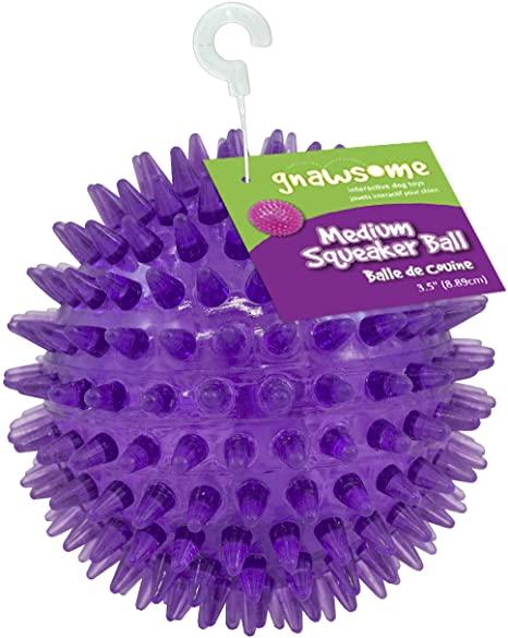 Amazon.com : Gnawsome Medium Squeaker Ball Dog Toy, Medium 3.5", Colors  will vary : Pet Squeak Toys : Pet Supplies