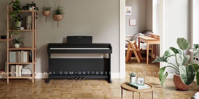 dan-piano-dien-yamaha-YDP145B