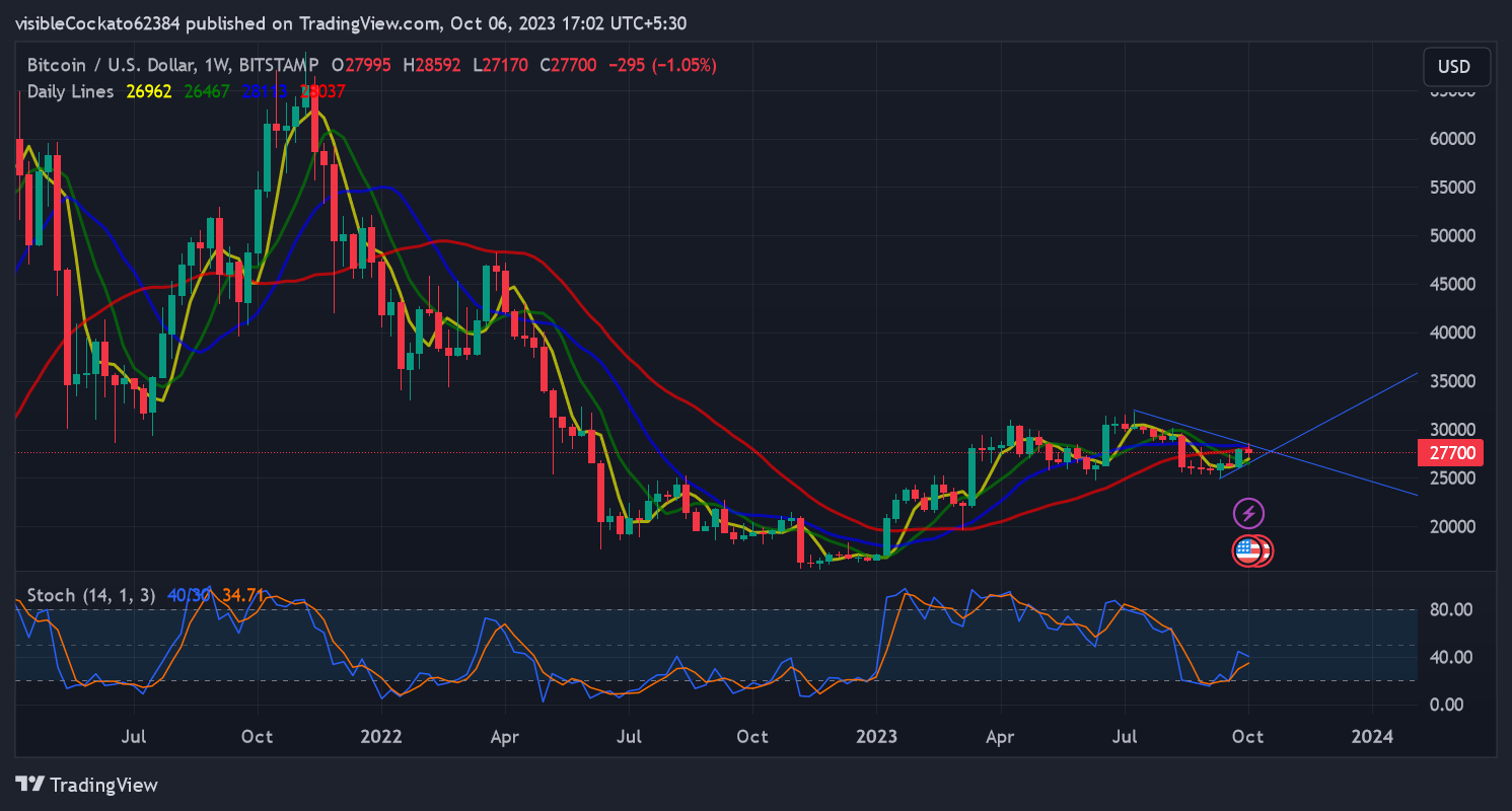 A bullish week for crypto: gainers, losers, and trends to watch - 1