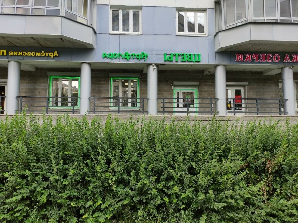 https://avatars.mds.yandex.net/get-altay/5499862/2a00000182dba870cb8cdff6715df0b90952/XXXL