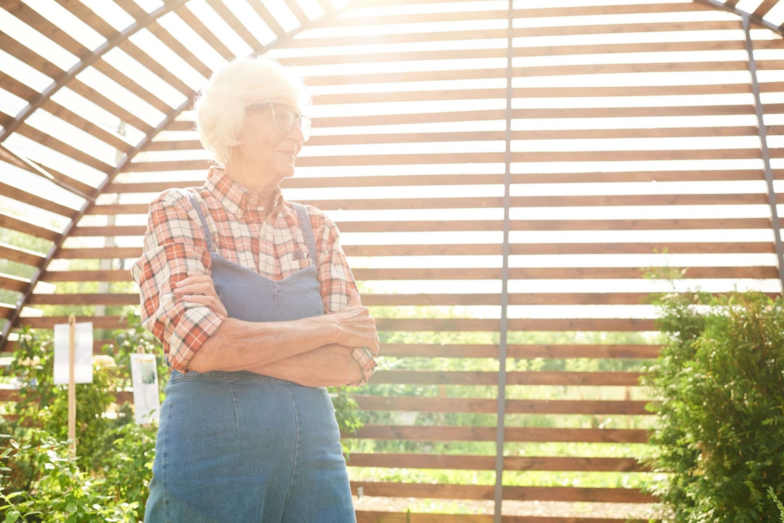 senior-woman-in-sunlight-garden-shed