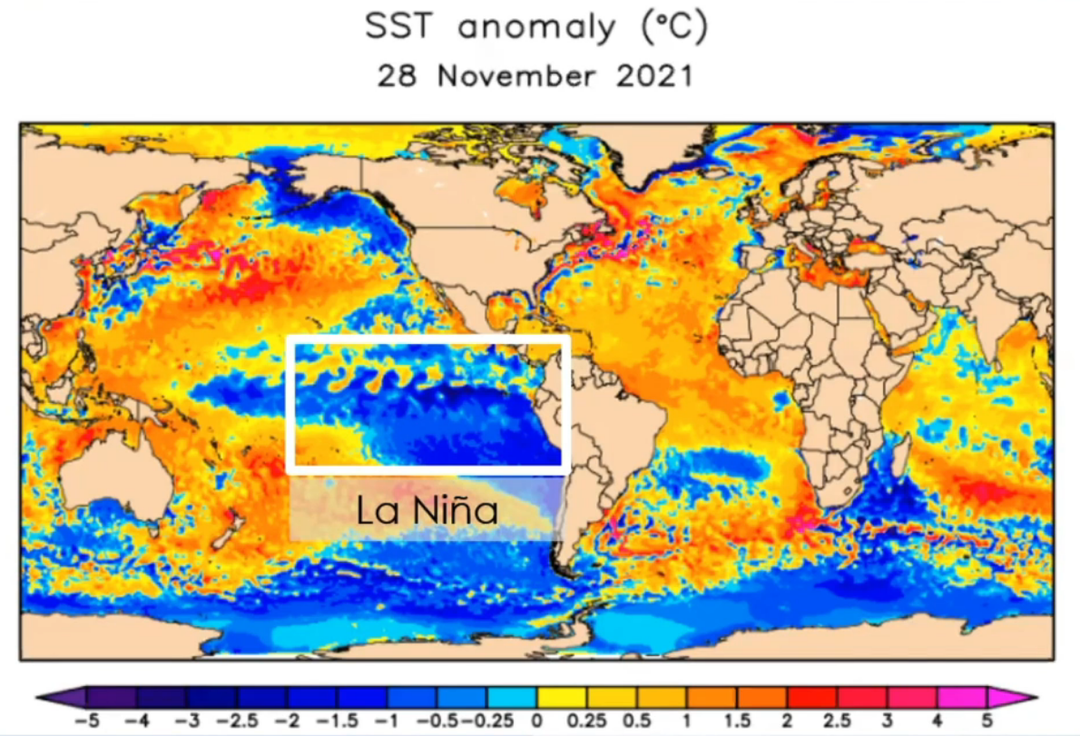 La Nina Sea Surface Temperatures 2021