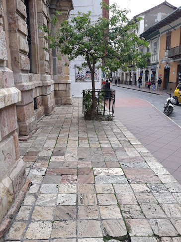 Movistar - Cuenca Centro 2 - Tienda de móviles