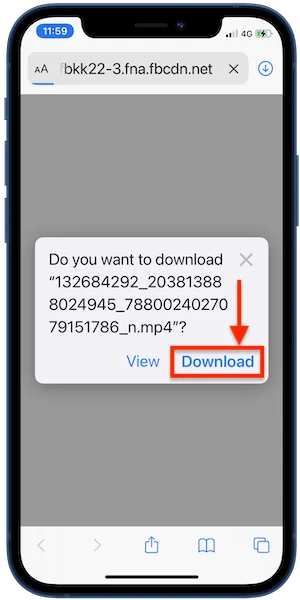 download button