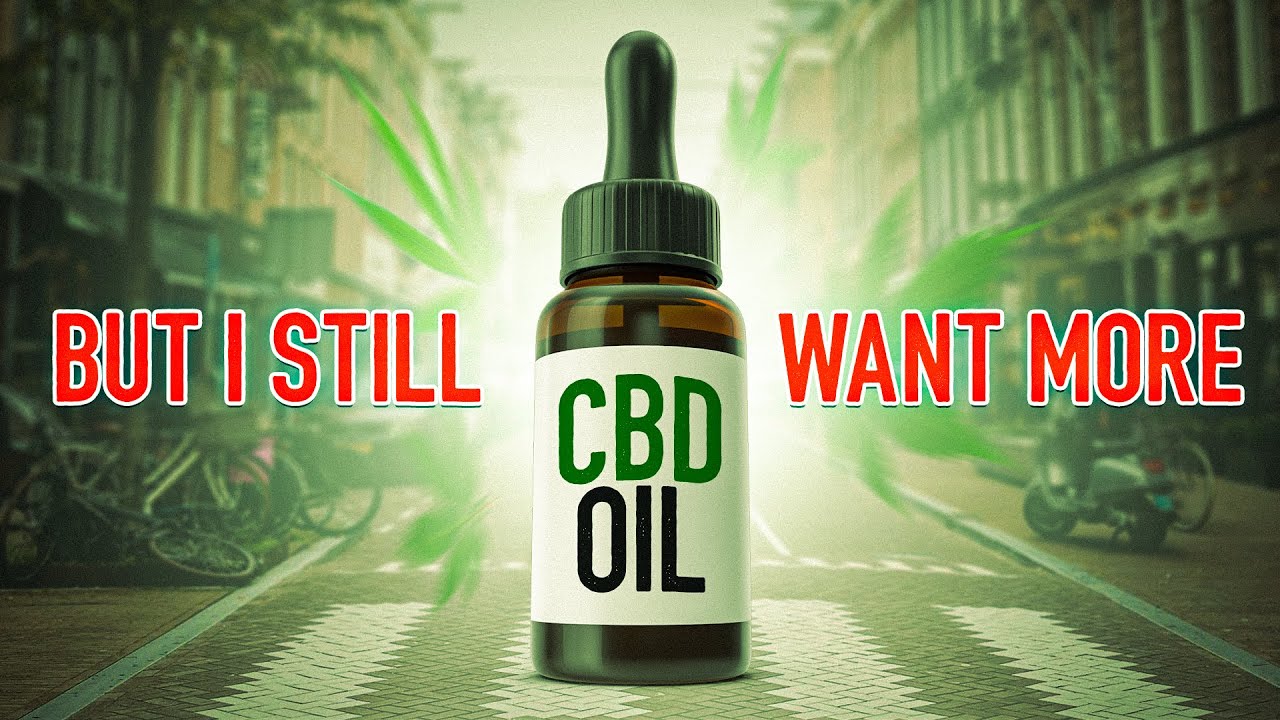 CBD oil for pet anxiety and stress