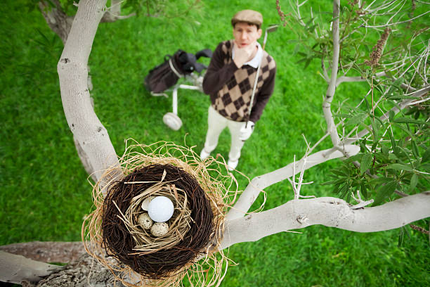 golf ball stuck in a birds nest