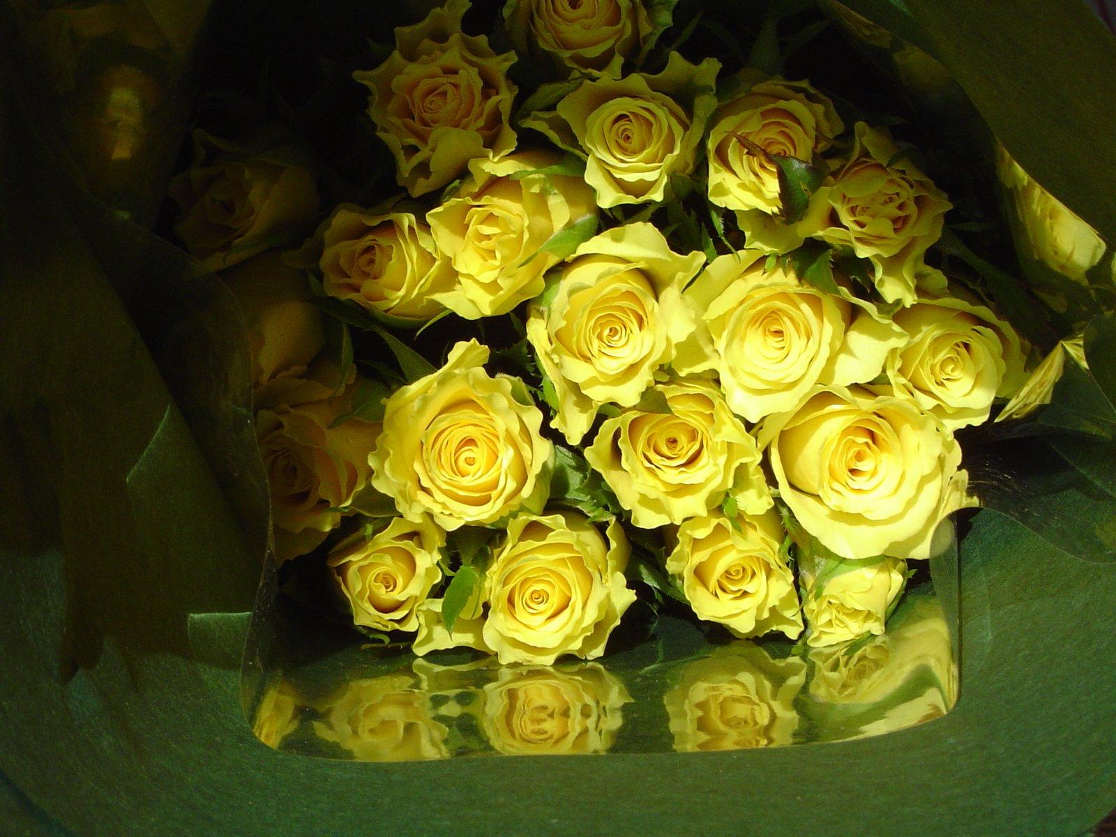 C:\Users\Харины\Desktop\yellow-roses-1316730.jpg