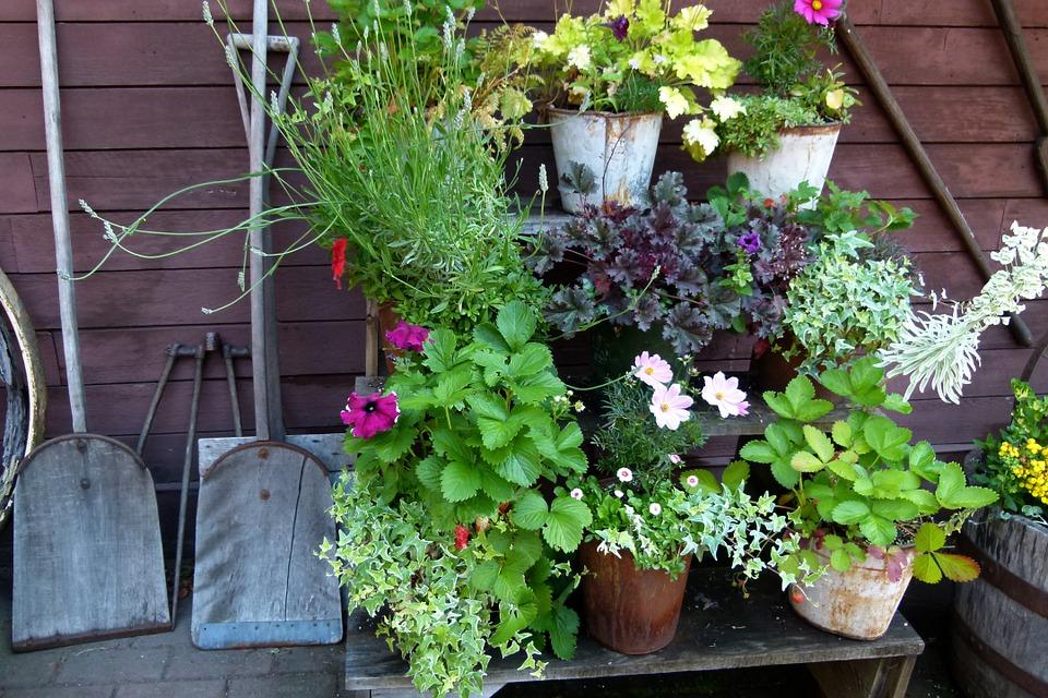 gardening plants with shovel outside of barn