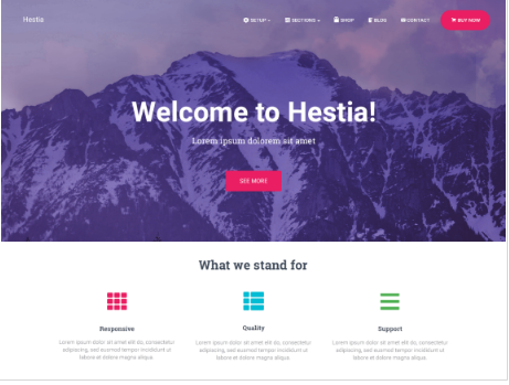 Best WordPress eCommerce Themes-Hestia