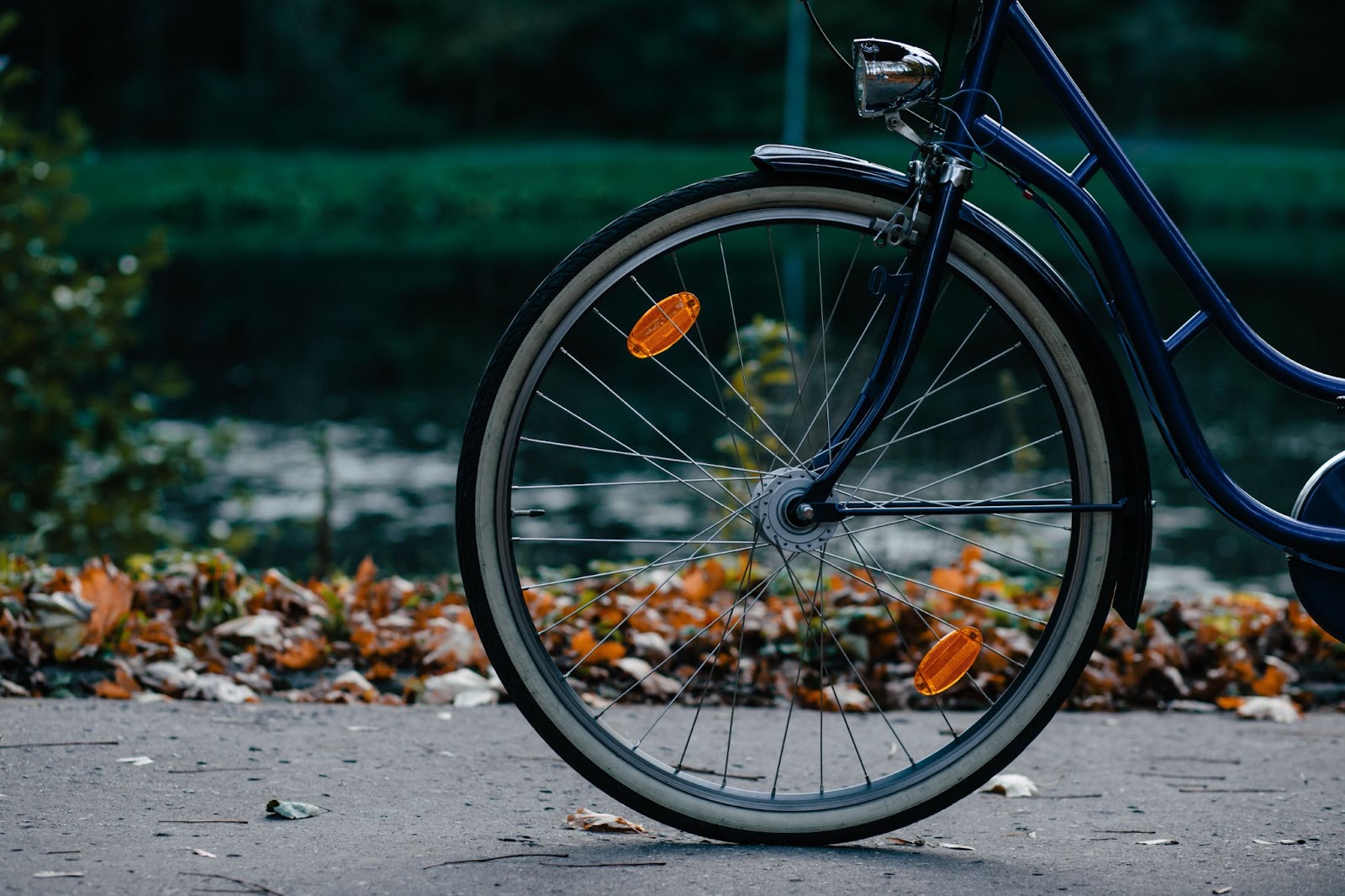 Bike Ride Autumn