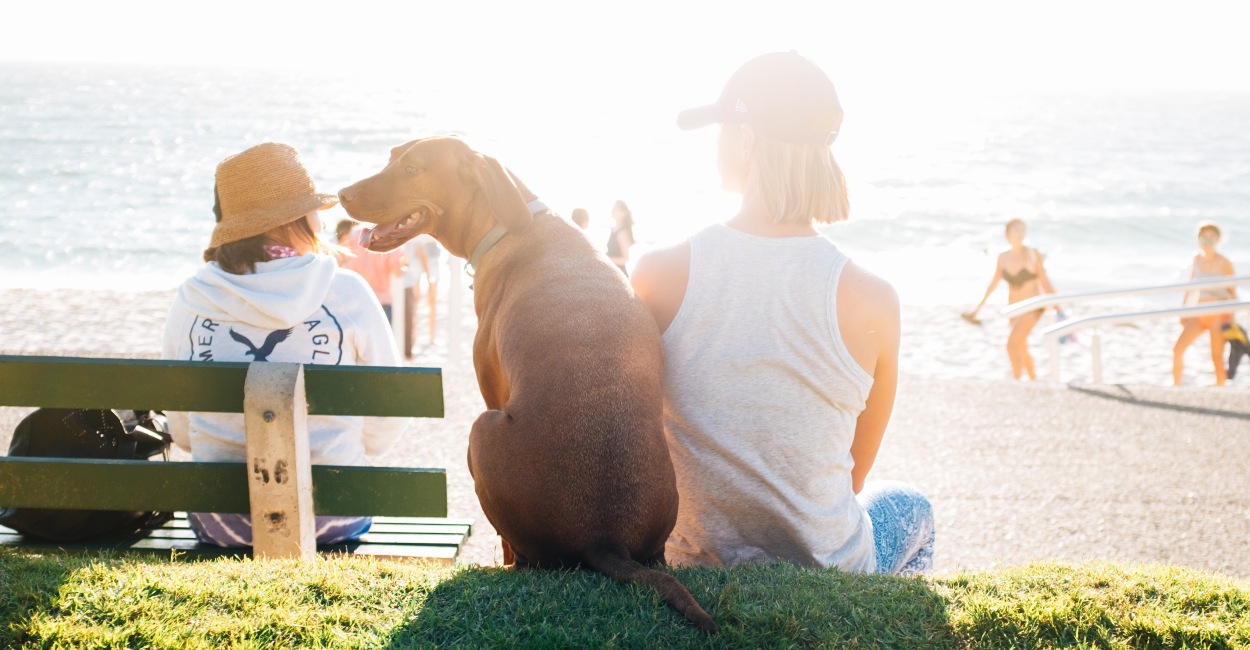 Family with dog on a beach in Dunsborough