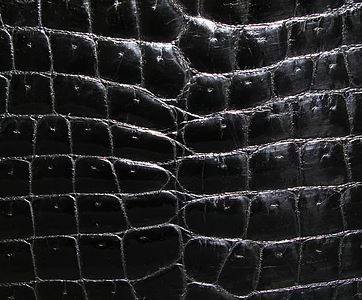 Online Sellers: How to Identify Snake Skin vs Croc vs Gator vs