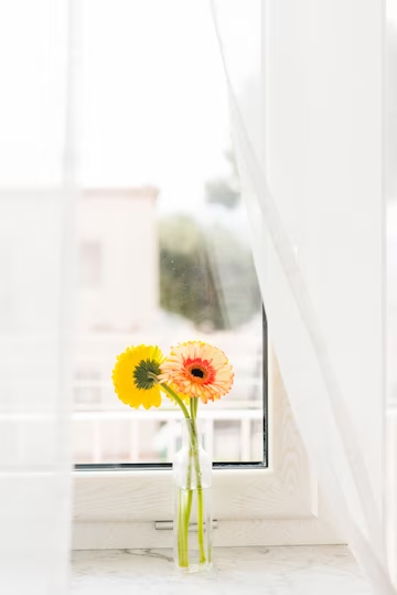 beneficios de la luz natural