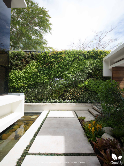 bright greenwall in the a modern backyard