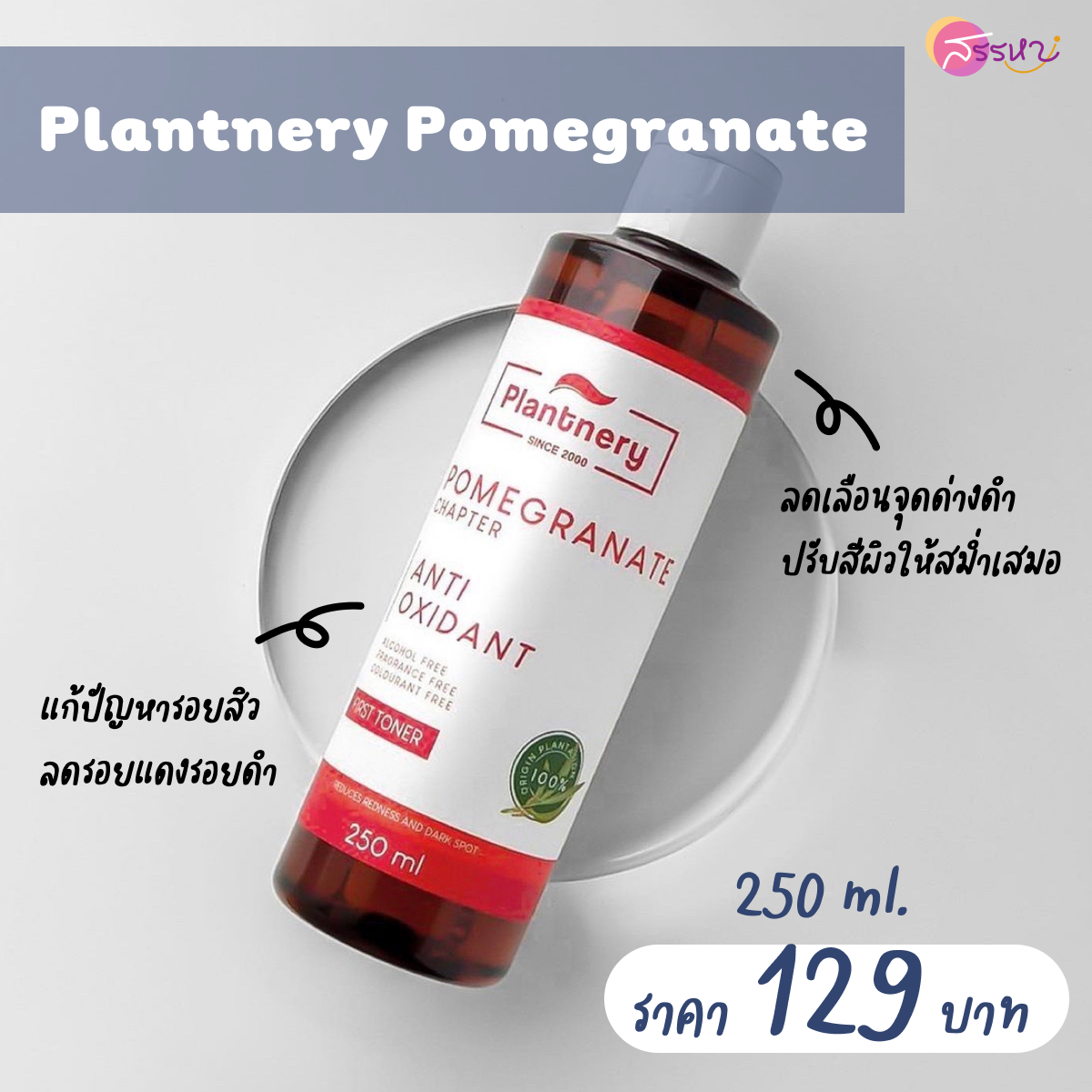 Plantnery Pomegranate