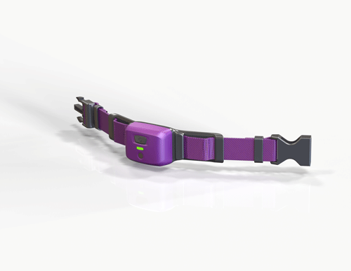 PetPace-wearable-tech-Collar-from-front-top_web.png