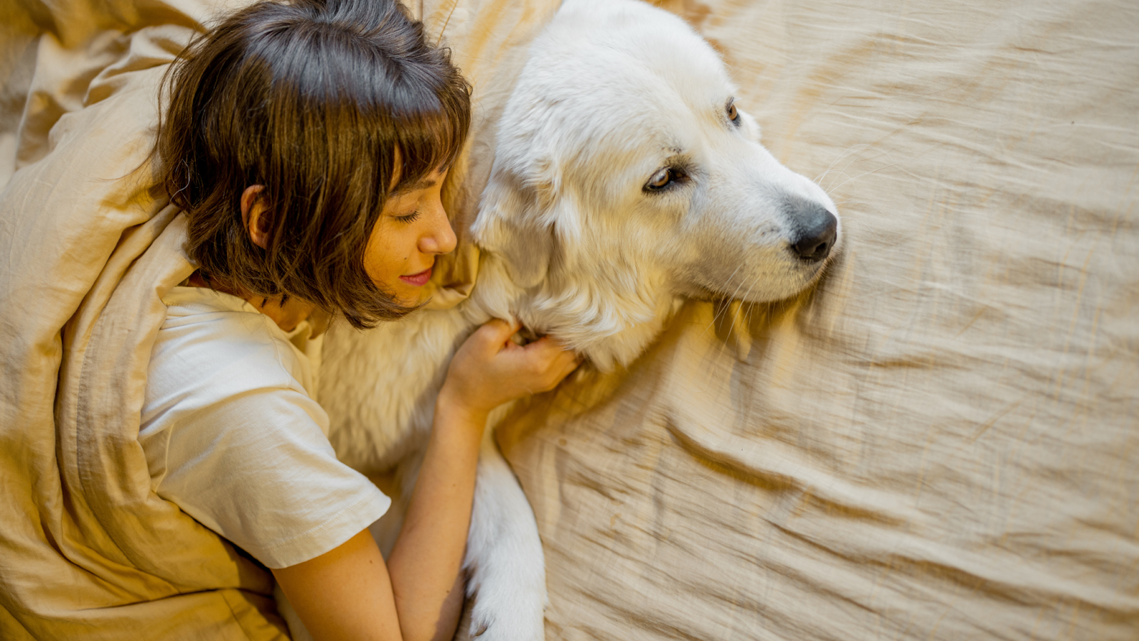 Cozy beds and blankets are a great way to protect pets from cold floors during the winter. 