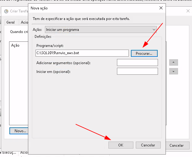 Pop-up contendo a opção de Ação, Programa/Script para selecionar o caminho demarcado em vermelho e a opção de OK abaixo, demarcado em vermelho.