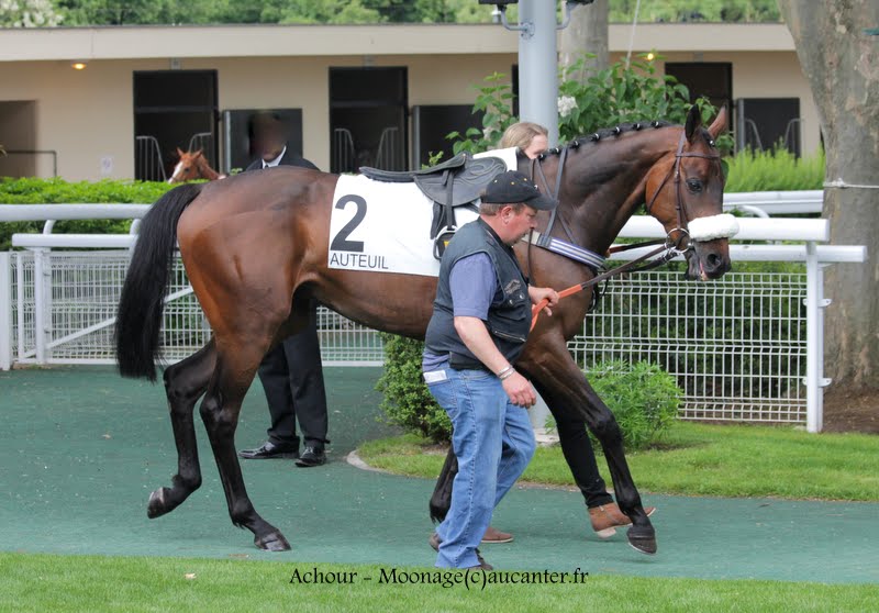 Photos Auteuil 16-05-2015 Week-end printanier de l'obstacle  LiPGG7bTvtJ1RNrvYrglfM_BI9WuZwEcLJRghctr5Wlv=w800-h558-no